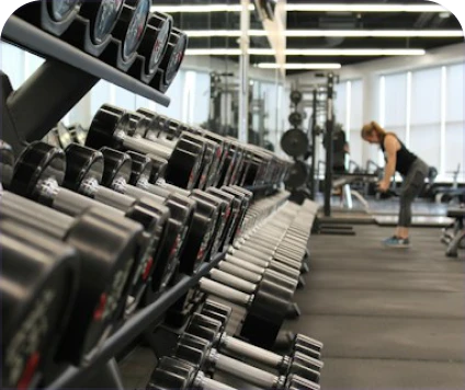 Gym Equipment